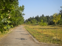 Ротари алея в м. Юкя